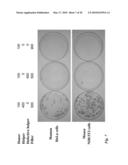 Tol1 FACTOR TRANSPOSASE AND DNA INTRODUCTION SYSTEM USING THE SAME diagram and image