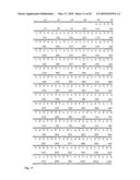 Tol1 FACTOR TRANSPOSASE AND DNA INTRODUCTION SYSTEM USING THE SAME diagram and image