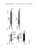 Tol1 FACTOR TRANSPOSASE AND DNA INTRODUCTION SYSTEM USING THE SAME diagram and image