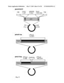 Tol1 FACTOR TRANSPOSASE AND DNA INTRODUCTION SYSTEM USING THE SAME diagram and image