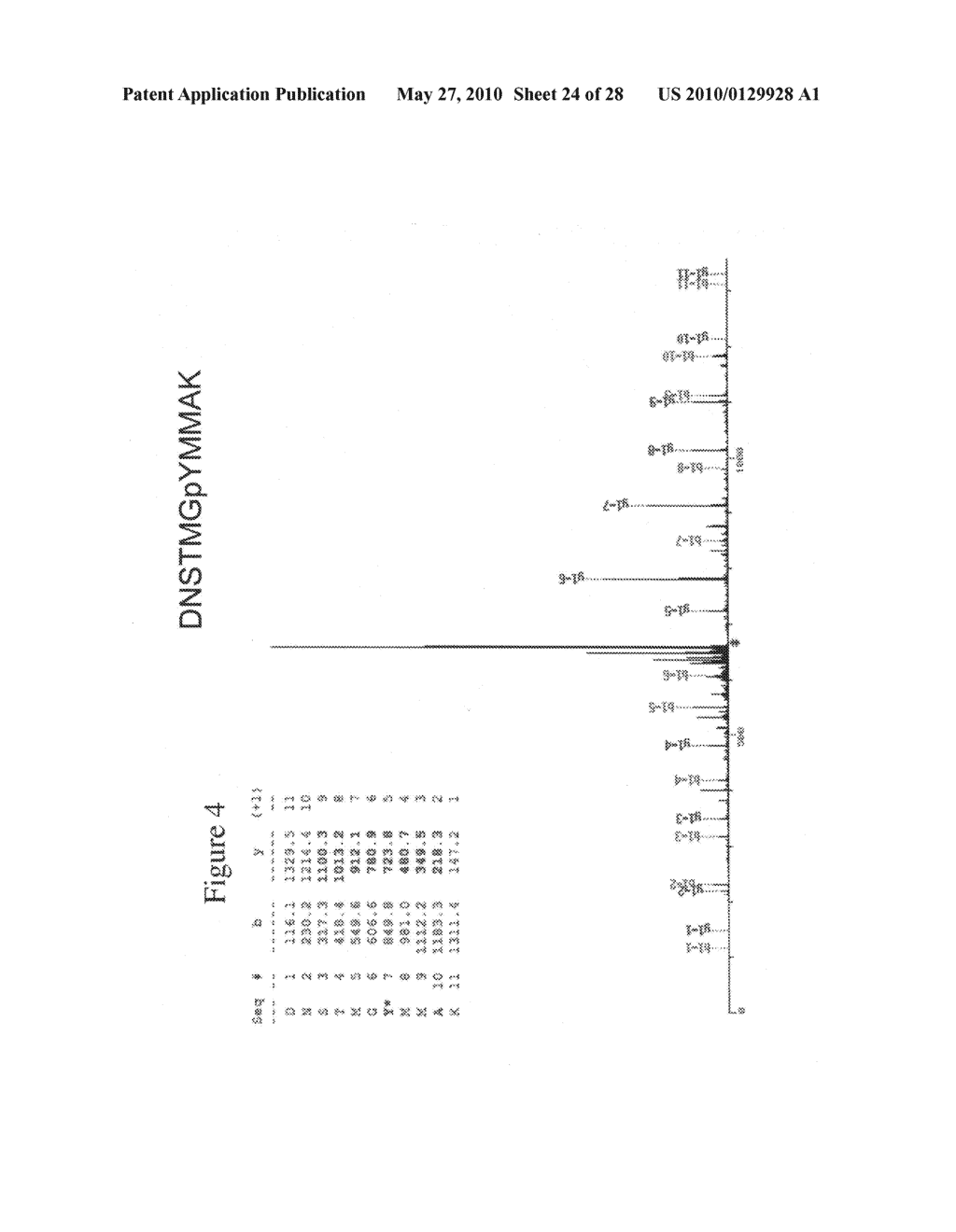 Tyrosine Phosphorylation Sites - diagram, schematic, and image 25