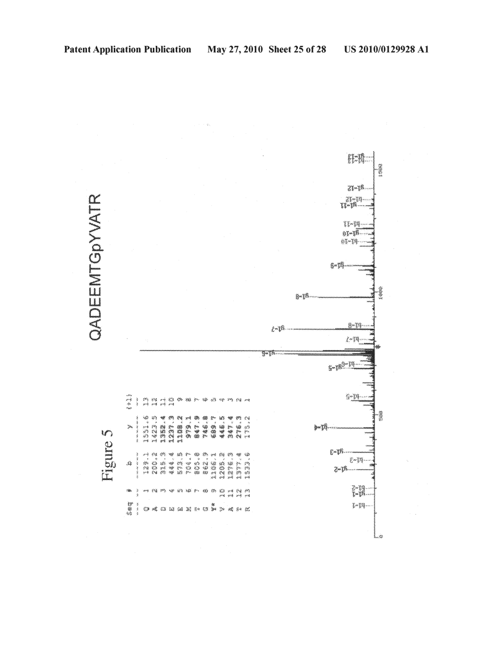 Tyrosine Phosphorylation Sites - diagram, schematic, and image 26