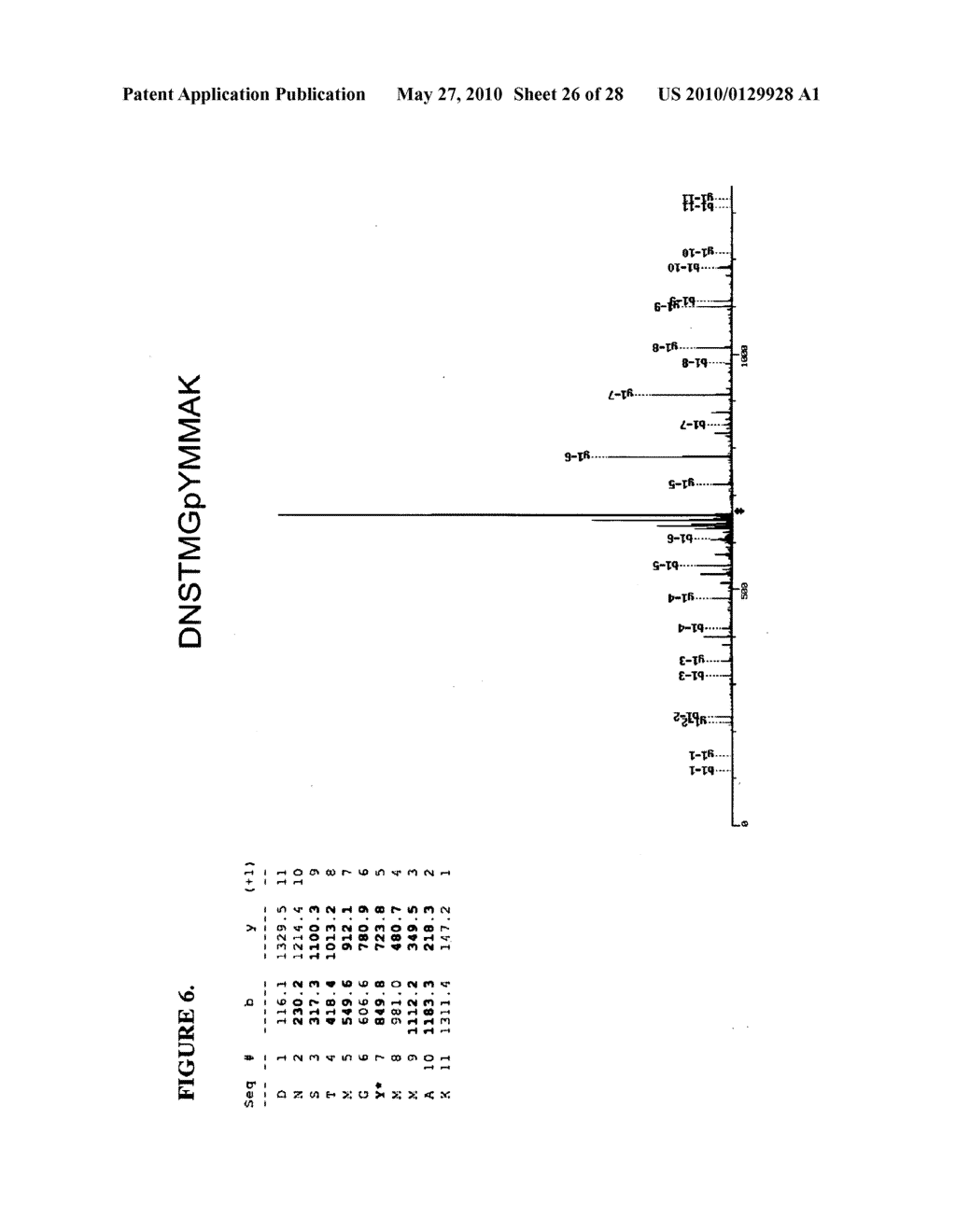 Tyrosine Phosphorylation Sites - diagram, schematic, and image 27