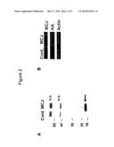 Anti-Methylation-Controlled J Protein Antibodies and Uses Thereof diagram and image