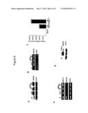 Anti-Methylation-Controlled J Protein Antibodies and Uses Thereof diagram and image