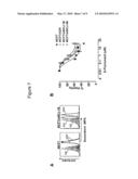 Anti-Methylation-Controlled J Protein Antibodies and Uses Thereof diagram and image