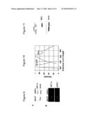 Anti-Methylation-Controlled J Protein Antibodies and Uses Thereof diagram and image