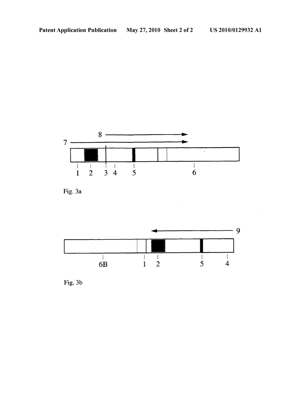 Determination of Isoerythropoietins - diagram, schematic, and image 03