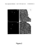 Methods of Quantitatively Assessing Inflammation with Biosensing Nanoparticles diagram and image