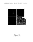 Methods of Quantitatively Assessing Inflammation with Biosensing Nanoparticles diagram and image