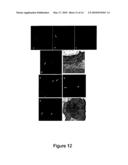 Methods of Quantitatively Assessing Inflammation with Biosensing Nanoparticles diagram and image