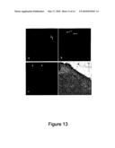 Methods of Quantitatively Assessing Inflammation with Biosensing Nanoparticles diagram and image