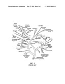 BIOMODULATORS FOR TREATMENT OR PREVENTION OF DISEASE diagram and image