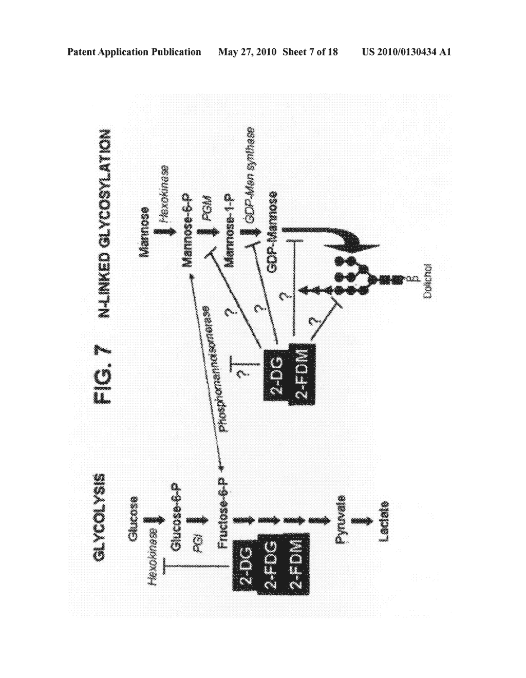 Hexose Compounds to Treat Cancer - diagram, schematic, and image 08