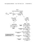 SYNTHESIS OF TETRACYCLINES AND ANALOGUES THEREOF diagram and image