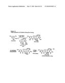 SYNTHESIS OF TETRACYCLINES AND ANALOGUES THEREOF diagram and image