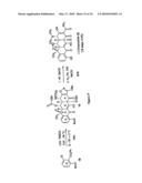 SYNTHESIS OF TETRACYCLINES AND ANALOGUES THEREOF diagram and image