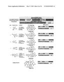 SYNTHESIS OF TETRACYCLINES AND ANALOGUES THEREOF diagram and image