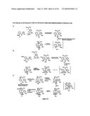 SYNTHESIS OF TETRACYCLINES AND ANALOGUES THEREOF diagram and image