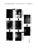 Phenothiazine Derivatives for Treatment of Asthma diagram and image