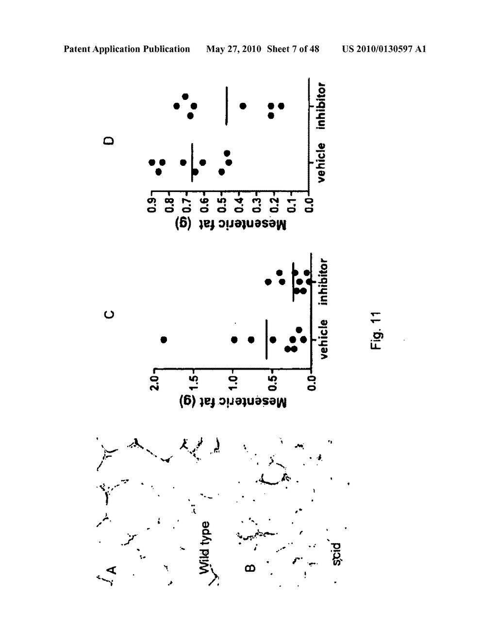 DNA-PKCS MODULATES ENERGY REGULATION AND BRAIN FUNCTION - diagram, schematic, and image 08