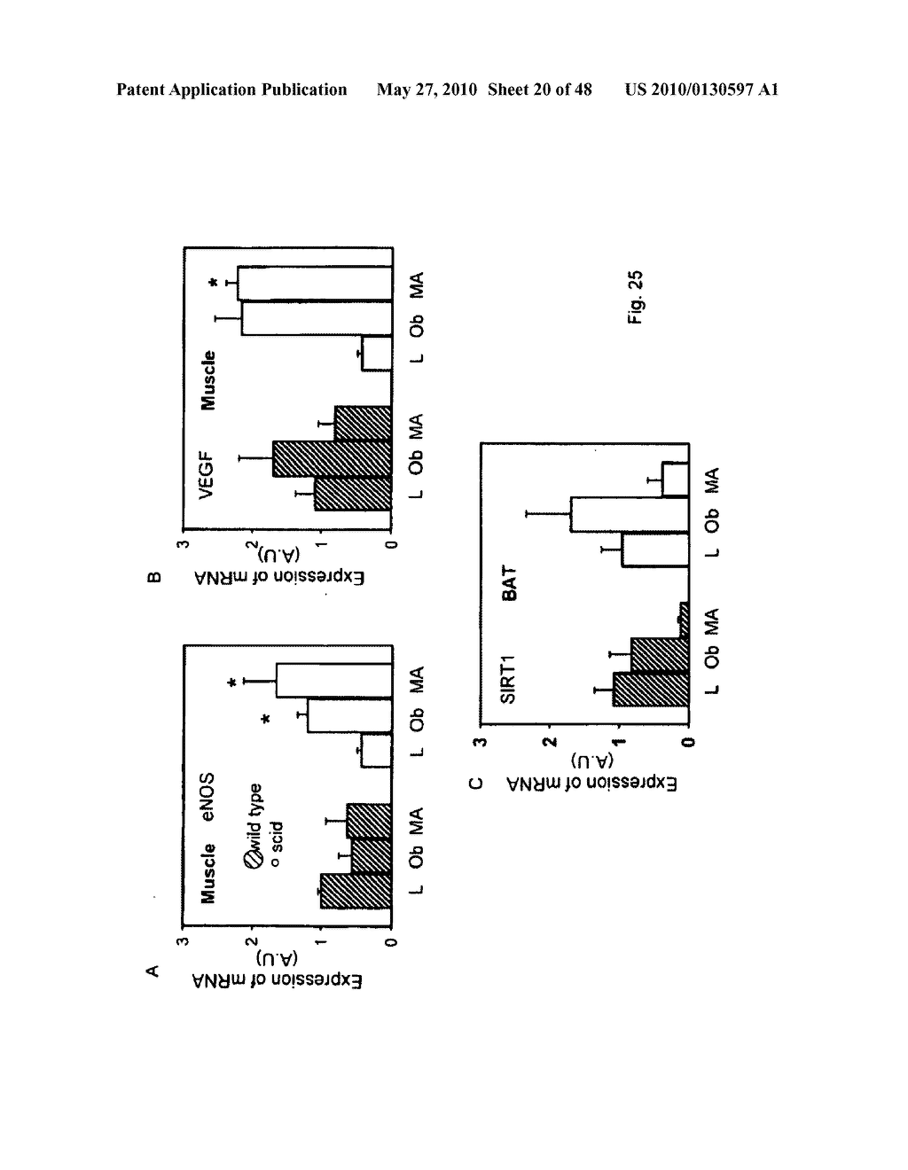 DNA-PKCS MODULATES ENERGY REGULATION AND BRAIN FUNCTION - diagram, schematic, and image 21