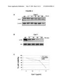 METHODS FOR INDUCING PROGRAMMED CELL DEATH diagram and image