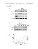 METHODS FOR INDUCING PROGRAMMED CELL DEATH diagram and image