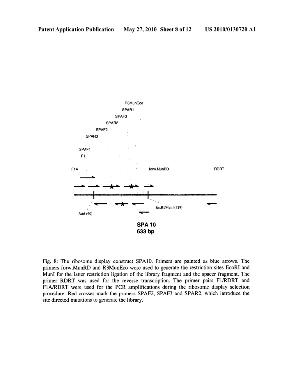 ARTIFICIAL BINDING PROTEINS BASED ON A MODIFIED ALPHA HELICAL REGION OF UBIQUITIN - diagram, schematic, and image 09