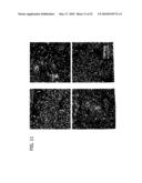 OXIDATION CATALYST AND ITS USE FOR CATALYZING LIQUID PHASE OXIDATION REACTIONS diagram and image