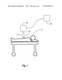 SYSTEM AND METHOD FOR LOCATION OF ANOMALIES IN A BODY SCAN diagram and image