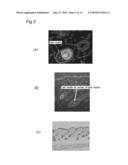 HAIR GROWTH MODULATING METHOD AND MODULATION DEVICE THEREOF diagram and image