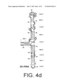 Method for identifying protein synthesis inhibitors by ribosome structure diagram and image