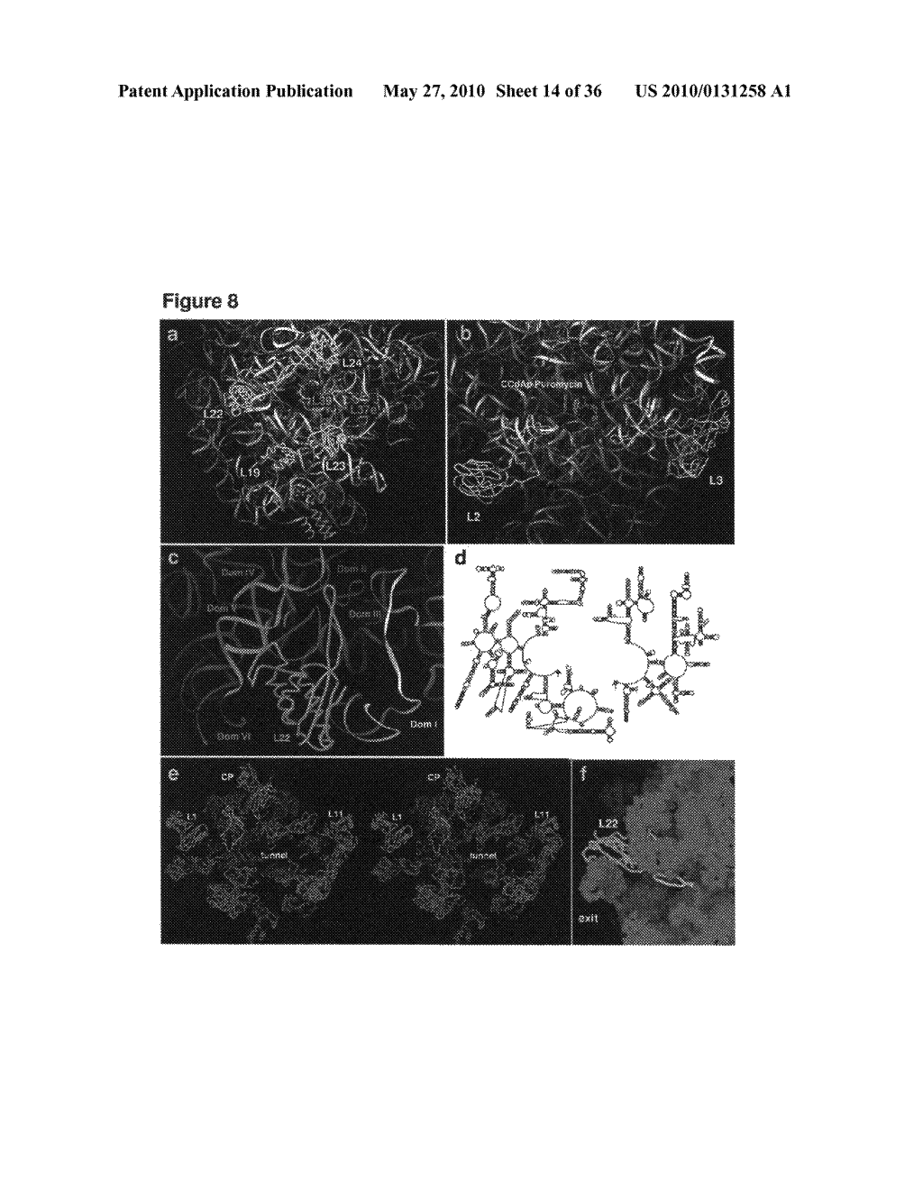 Method for identifying protein synthesis inhibitors by ribosome structure - diagram, schematic, and image 15