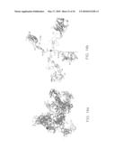 Method for identifying protein synthesis inhibitors by ribosome structure diagram and image