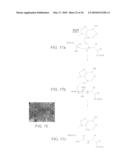Method for identifying protein synthesis inhibitors by ribosome structure diagram and image
