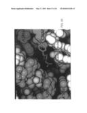 Method for identifying protein synthesis inhibitors by ribosome structure diagram and image