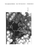 Method for identifying protein synthesis inhibitors by ribosome structure diagram and image