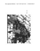 Method for identifying protein synthesis inhibitors by ribosome structure diagram and image