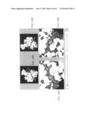 Method for identifying protein synthesis inhibitors by ribosome structure diagram and image