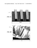 METHOD OF MAKING AND ASSEMBLING CAPSULATED NANOSTRUCTURES diagram and image