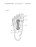 Footwear Sole Insert and Footwear diagram and image