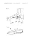 Footwear Sole Insert and Footwear diagram and image