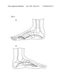 Footwear Sole Insert and Footwear diagram and image