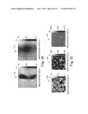 MICROMACHINED COMB DRIVE FOR QUANTITATIVE NANOINDENTATION diagram and image