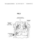 MAGNETIC CELL AND METHOD OF USING THE SAME diagram and image