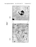 MAGNETIC CELL AND METHOD OF USING THE SAME diagram and image