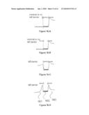 SYSTEM AND METHOD FOR USING PRE-EQUILIBRIUM BALLISTIC CHARGE CARRIER REFRACTION diagram and image