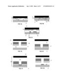 Electrochemically Fabricated Microprobes diagram and image