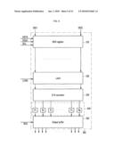 VOLTAGE AMPLIFIER AND DRIVING DEVICE OF DISPLAY DEVICE USING THE VOLTAGE AMPLIFIER diagram and image